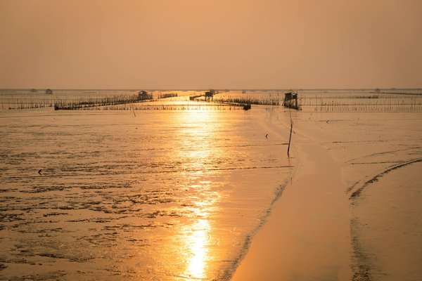 Globe Trotteurs En Voyage